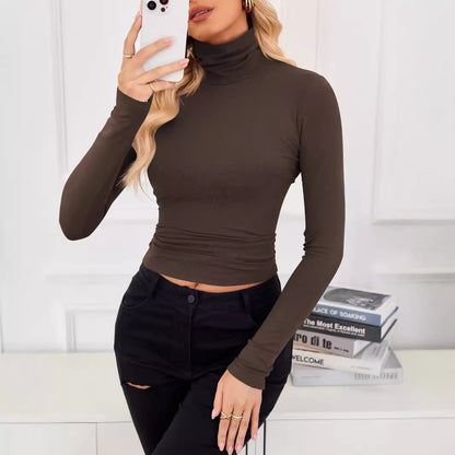 Women's Slim Fit Fashion Turtleneck Base Top