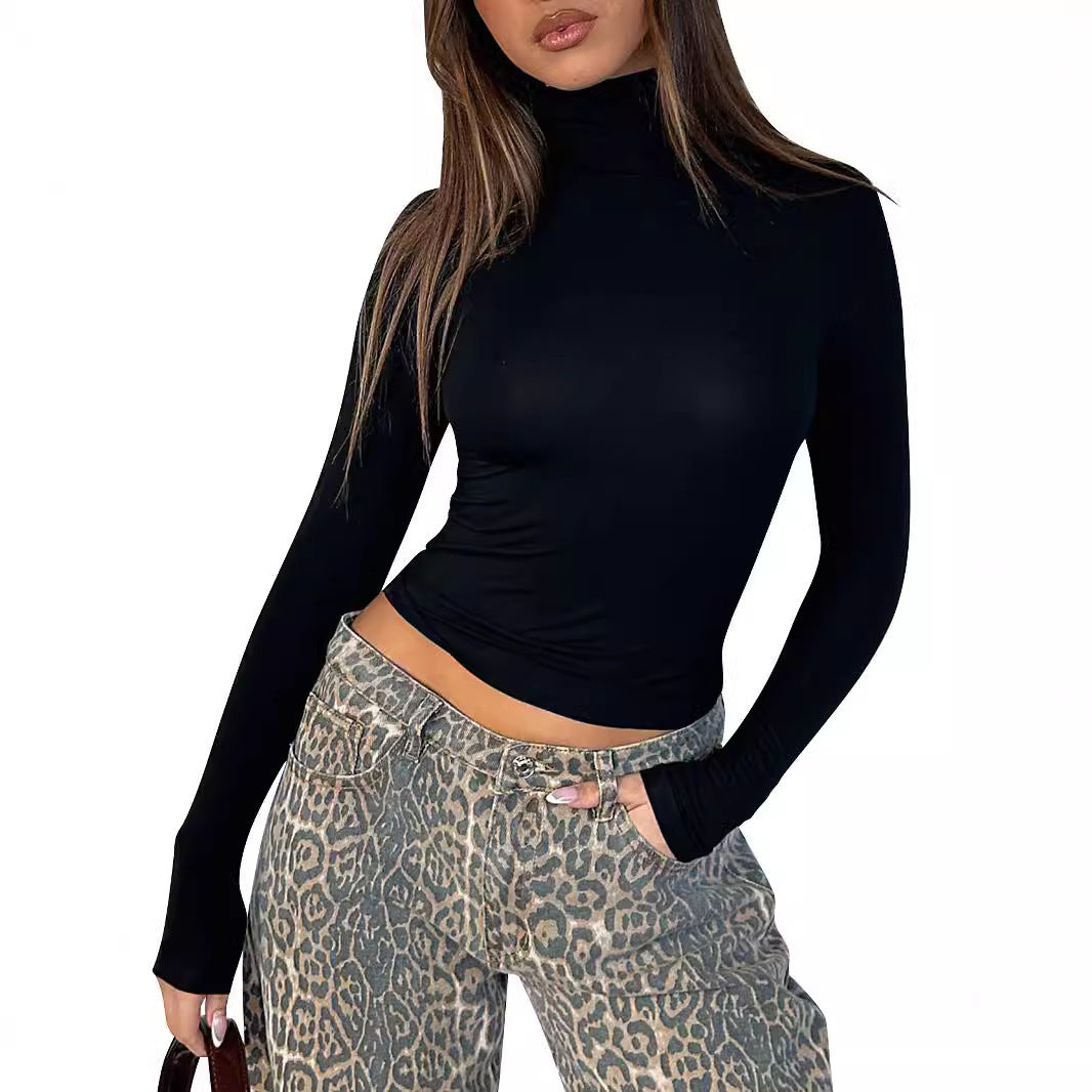 Women's Slim Fit Fashion Turtleneck Base Top